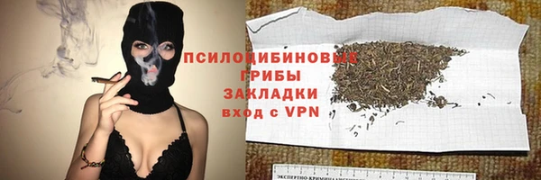 ПСИЛОЦИБИНОВЫЕ ГРИБЫ Алексин