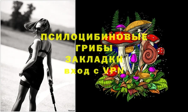 прущий лед Алексеевка